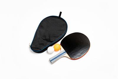 ping pong paddle carrying case