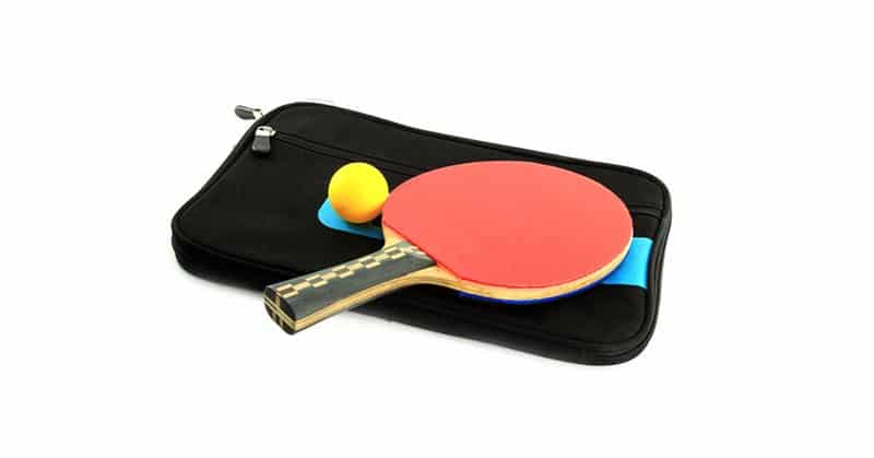 best ping pong paddle cases